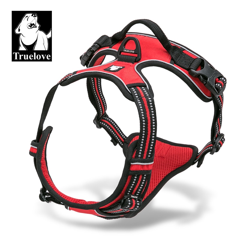 true love adventure dog harness